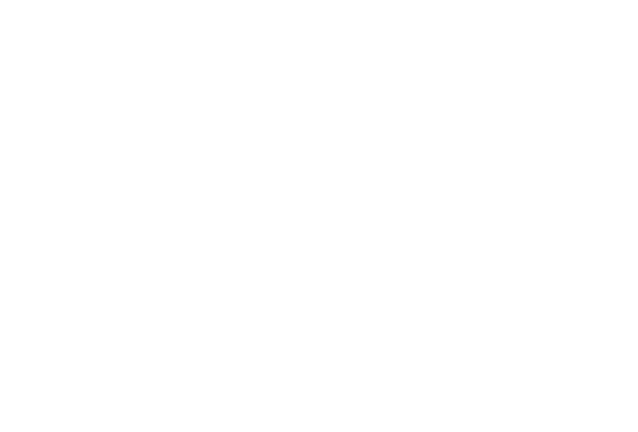 business optimisation consultants